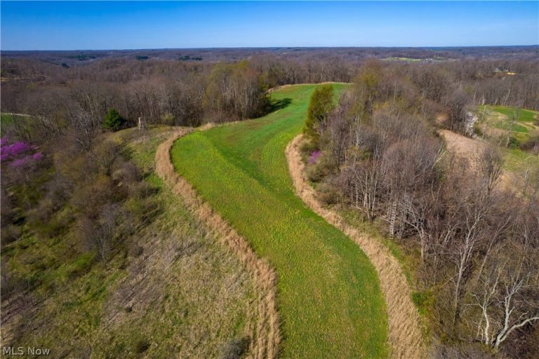 Sealover Hollow Rd Road, Philo, OH - Photo 3