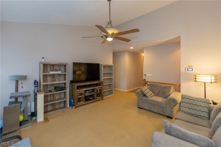 10218 Ridgeview Court, Streetsboro, OH - Photo 8