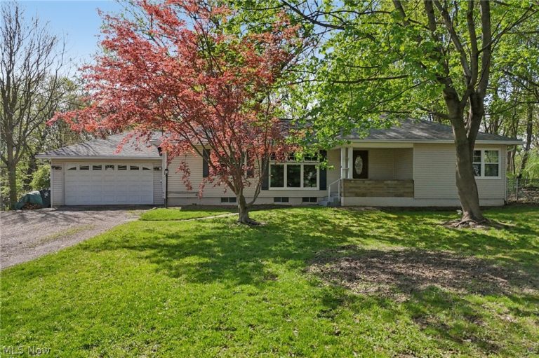 162 Hawkins Avenue, Akron, OH, 44313