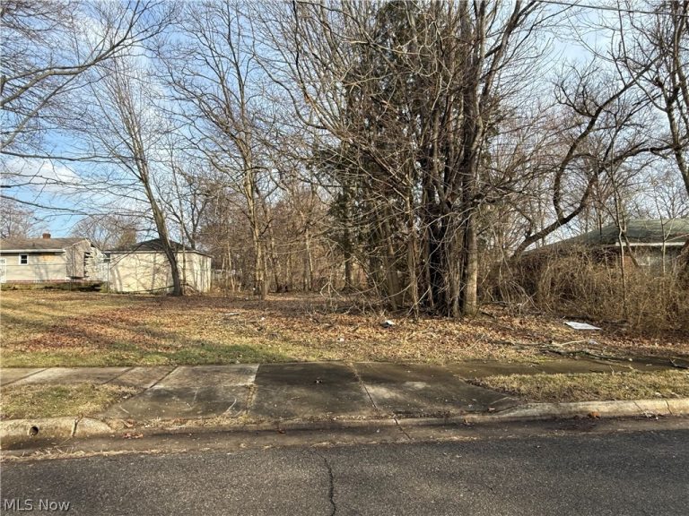 Washburn Street, Akron, OH, 44307