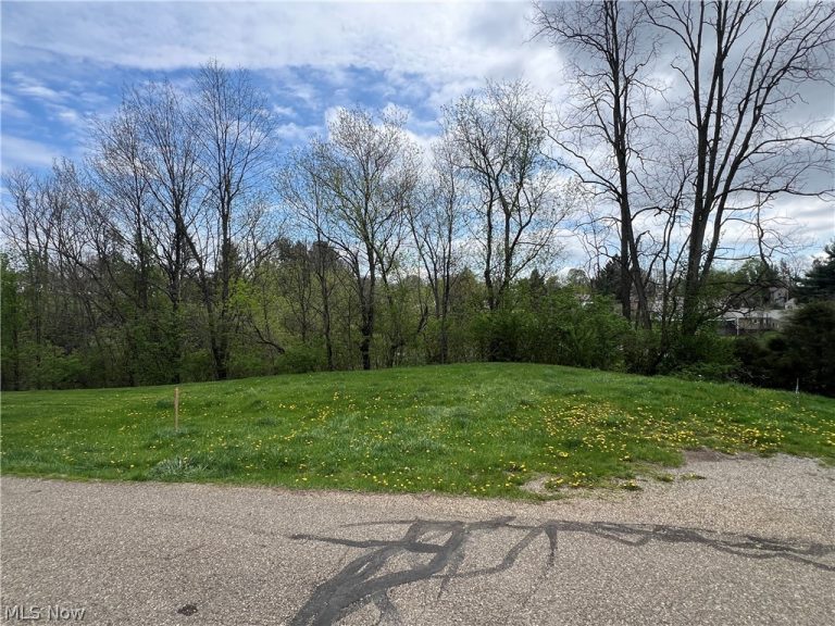 Carson Street, Hopedale, OH, 43976