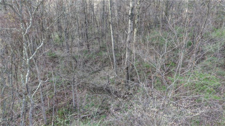 Martin Drive Southeast, Canton, OH - Photo 4