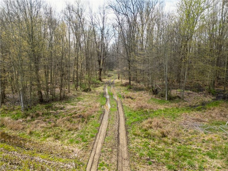 Steiner Road, Creston, OH - Photo 6