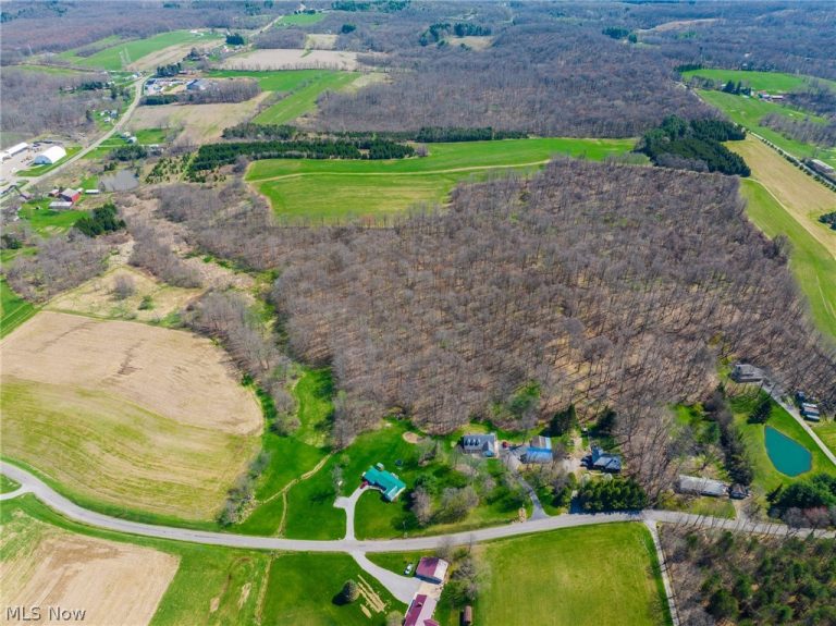 9050 Freeman Road, Lisbon, OH - Photo 4