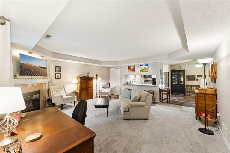 8615 Scenicview Drive, Broadview Heights, OH - Photo 8