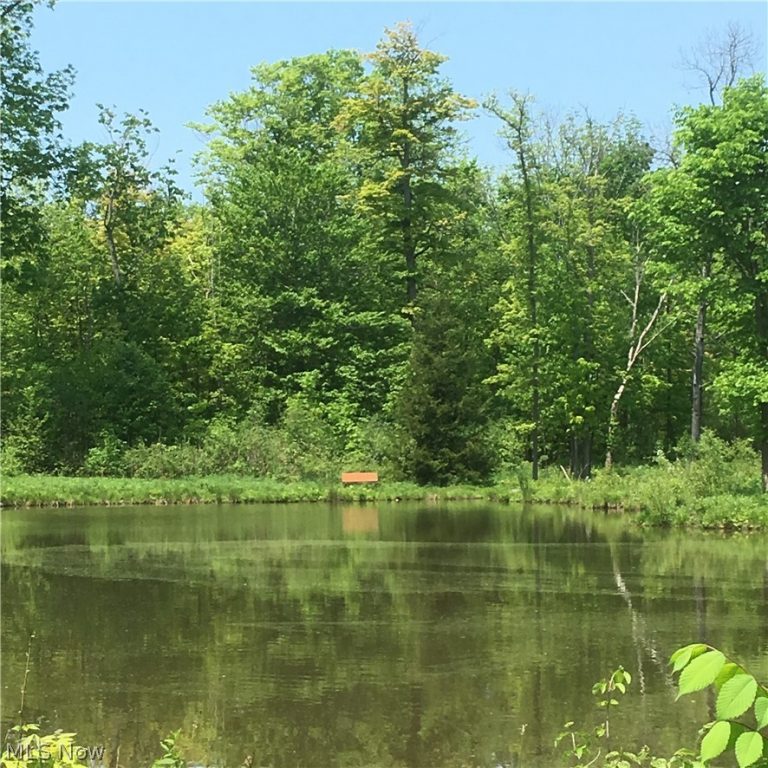 Fowlers Mill Road, Chardon, OH - Photo 4