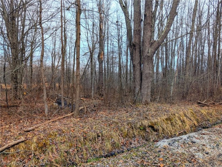 Magnolia Drive #6, Madison, OH, 44057