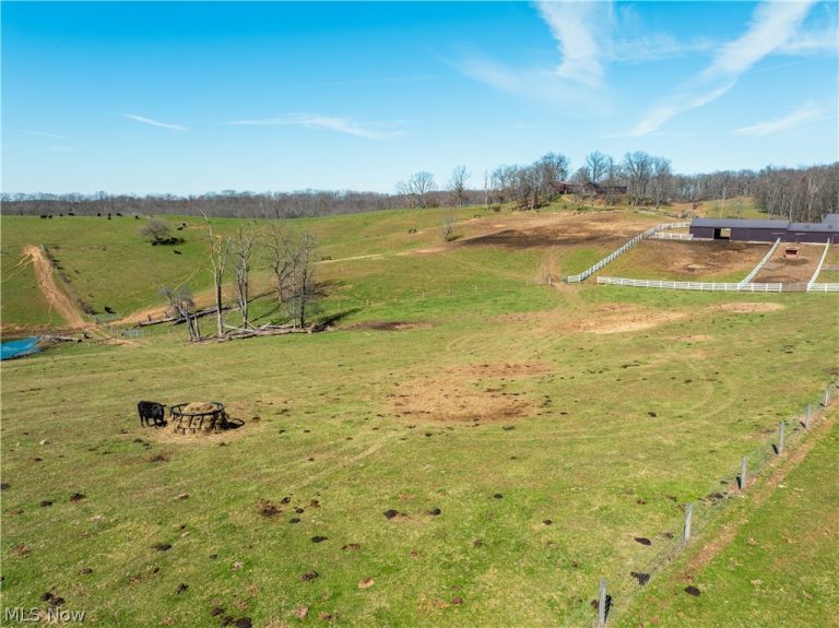 91100 Eckley Road, Jewett, OH - Photo 5
