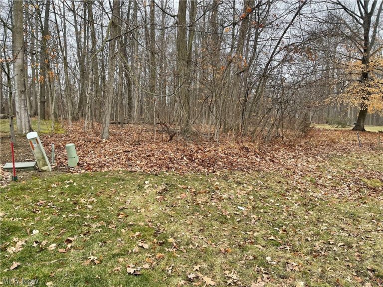 V/L 260 Stony Brook Lane, Wakeman, OH - Photo 6