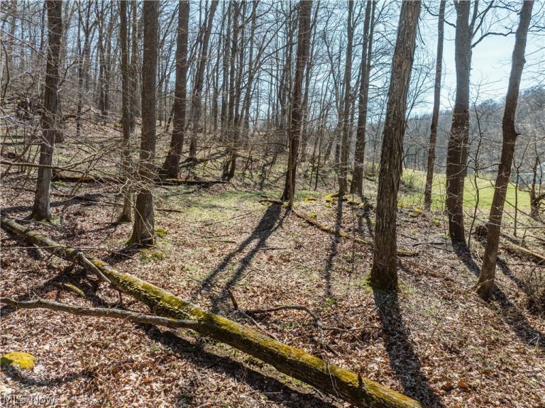 Township Road 34, Killbuck, OH - Photo 6