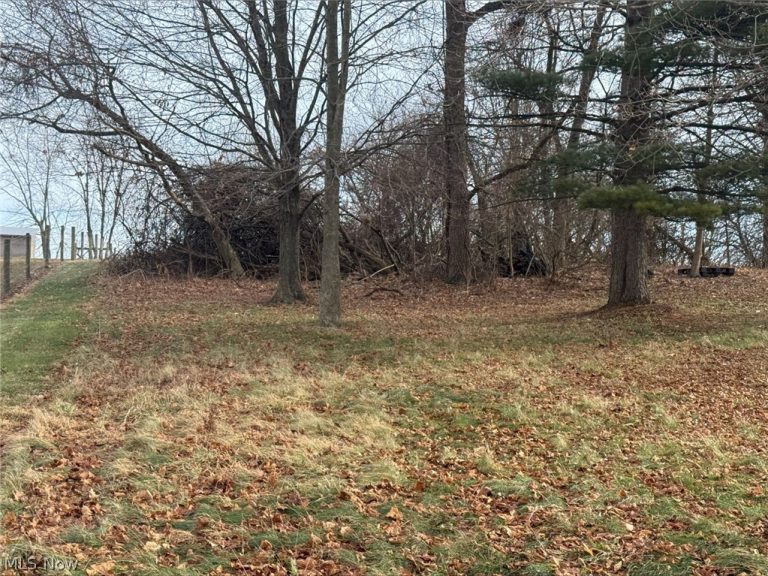 10875 Dolphin Street, Beach City, OH - Photo 6