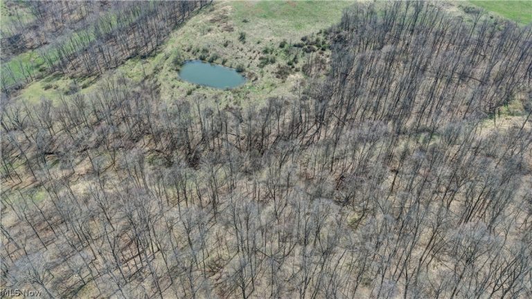 Township Road 127, Millersburg, OH - Photo 3