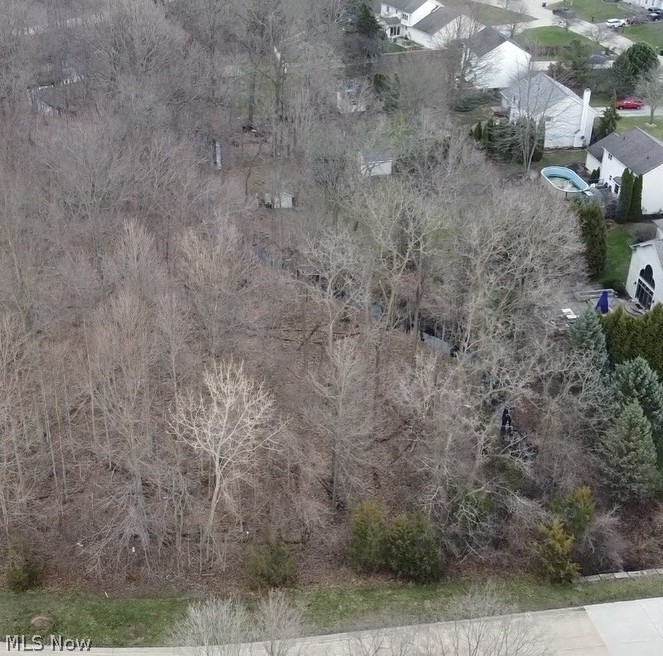 V/L 284 Stony Brook Lane, Wakeman, OH - Photo 2