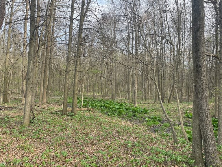 2073 Lilly Road, Minerva, OH - Photo 4