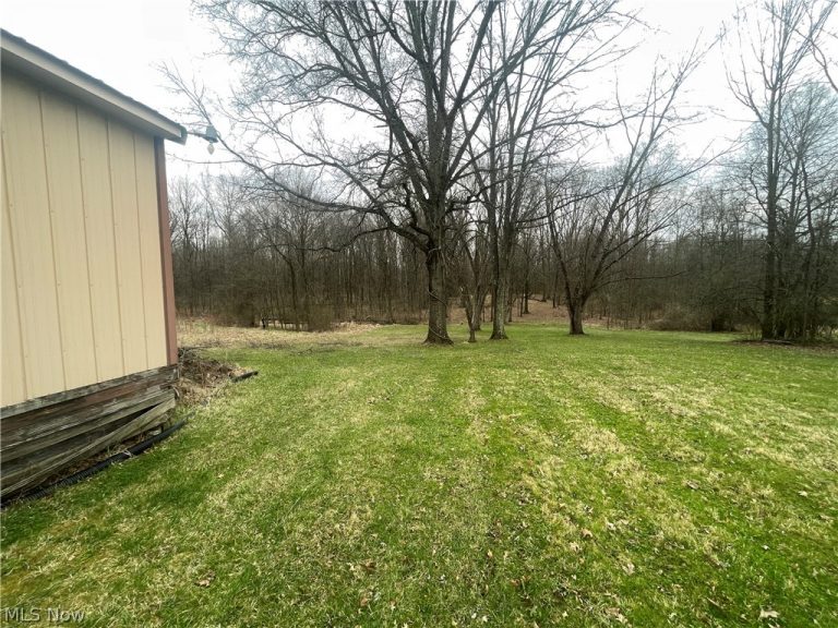 744 Carson Salt Springs Road, Mineral Ridge, OH - Photo 5
