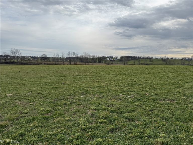 Township Road 613, Fredericksburg, OH - Photo 3