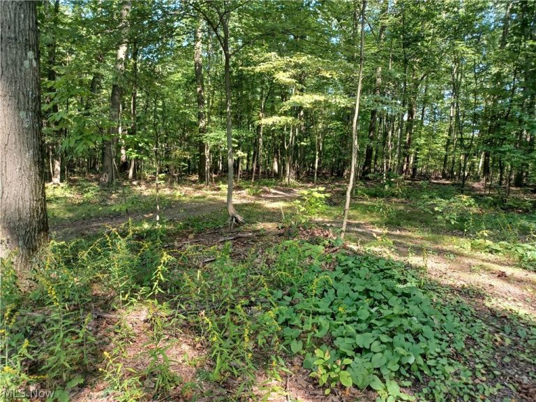 695 Hubbard Road, Lowellville, OH, 44436