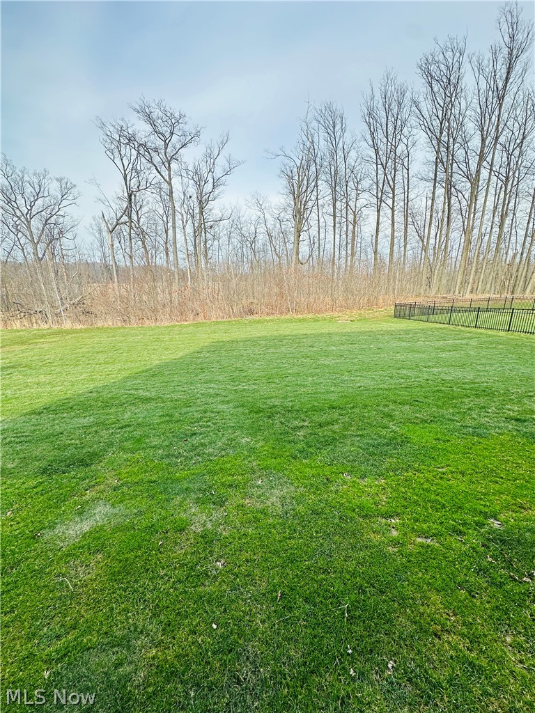 8721 Summer Wind Lane, Mentor, OH - Photo 6