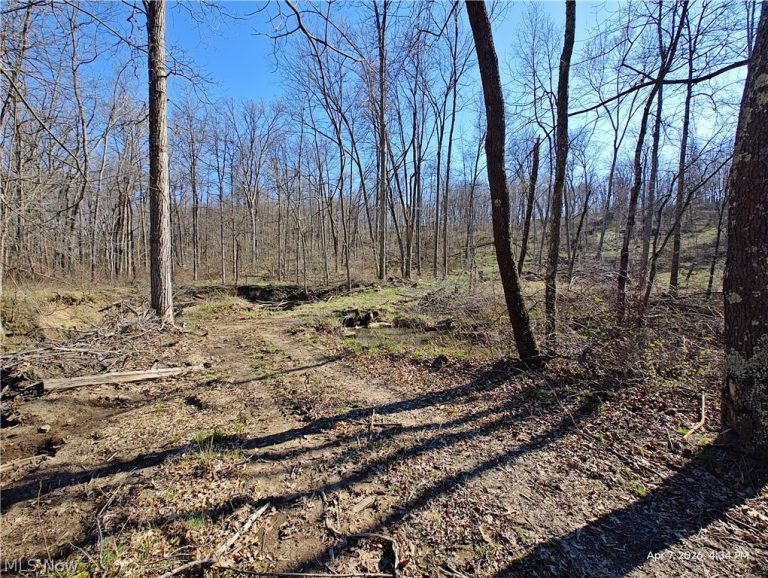 1852 Laramie Road, Carrollton, OH - Photo 3