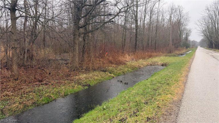 Ninevah Road, Geneva, OH, 44041