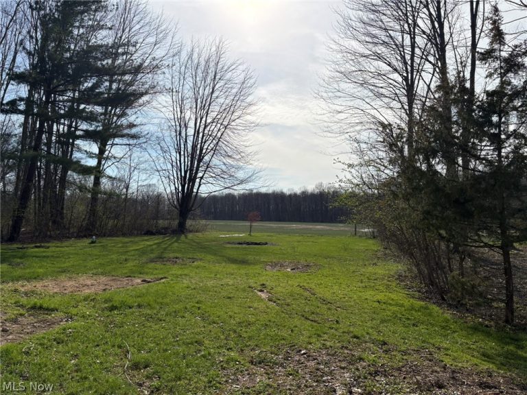 408 Annis Road, South Amherst, OH - Photo 5
