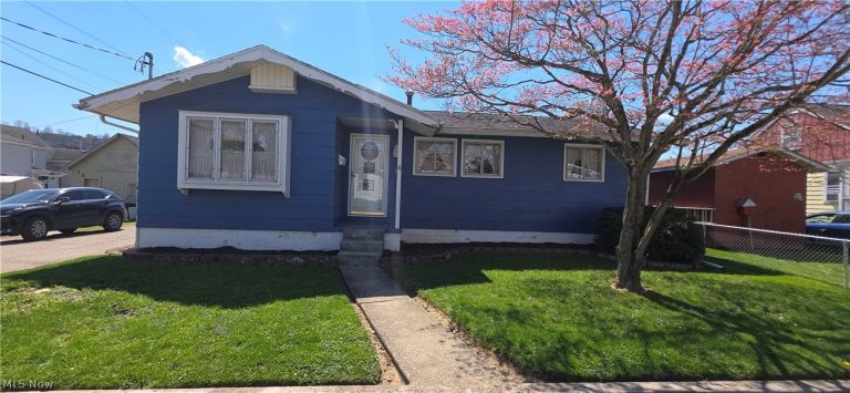 6 Thompson Lane, Shadyside, OH, 43947