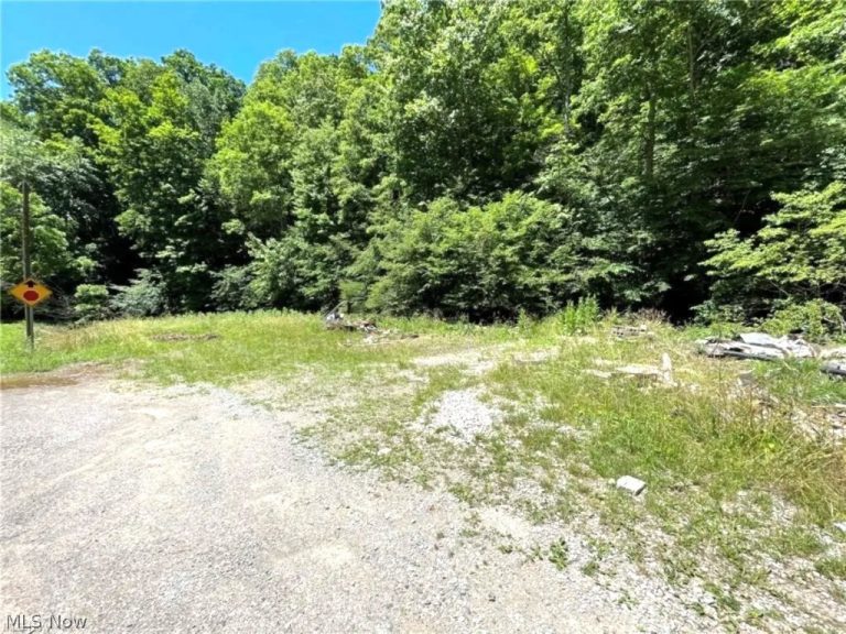 974 Slate Rd, Spencer, WV - Photo 3
