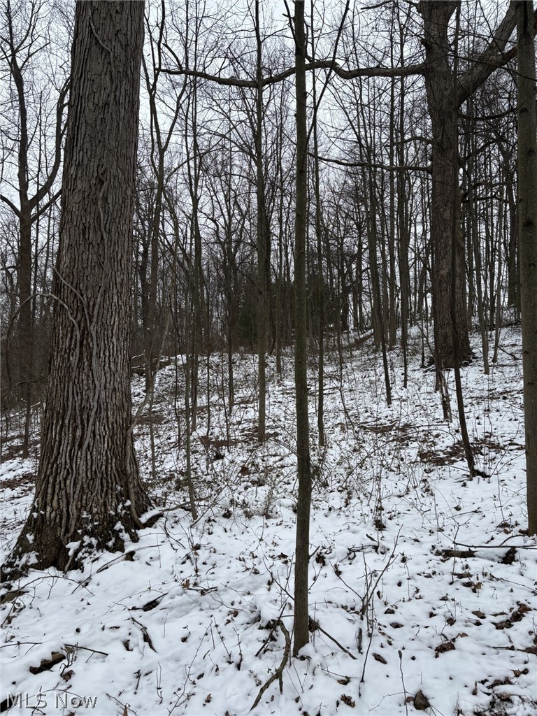 Oh-93, Dundee, OH - Photo 5