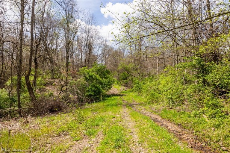 105 Hanley Road, Mansfield, OH - Photo 2