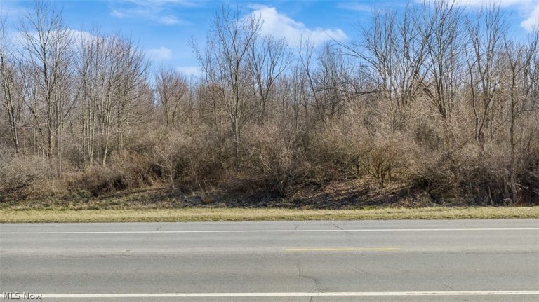 Gladdis Street, Massillon, OH - Photo 4