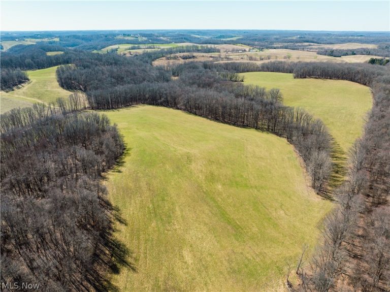 Burrier Road, Jewett, OH - Photo 5
