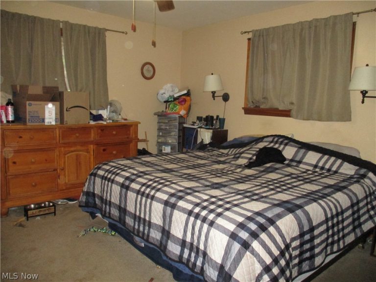 256 Warner Road, Hubbard, OH - Photo 8