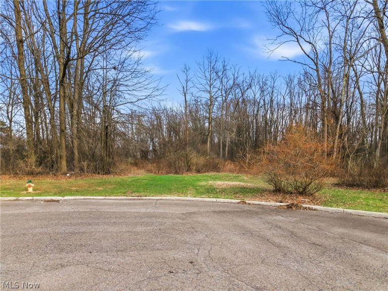Cheeks Court, Cortland, OH, 44410