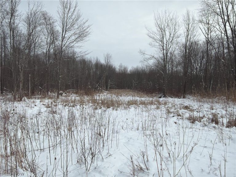 Munson Hill Road, Ashtabula, OH, 44004