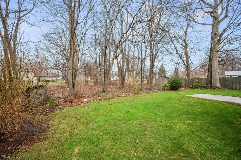 909 Lake Terrace Drive, Painesville, OH - Photo 6