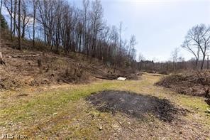 909 Lisbon Road, Salem, OH - Photo 5