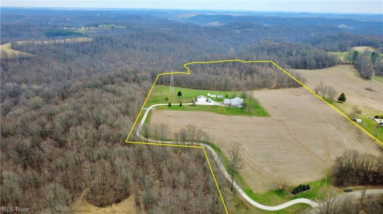 17437 Early Cemetary Road, Kimbolton, OH - Photo 4