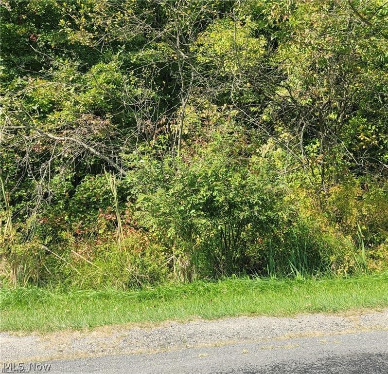 New Milford Road, Atwater, OH