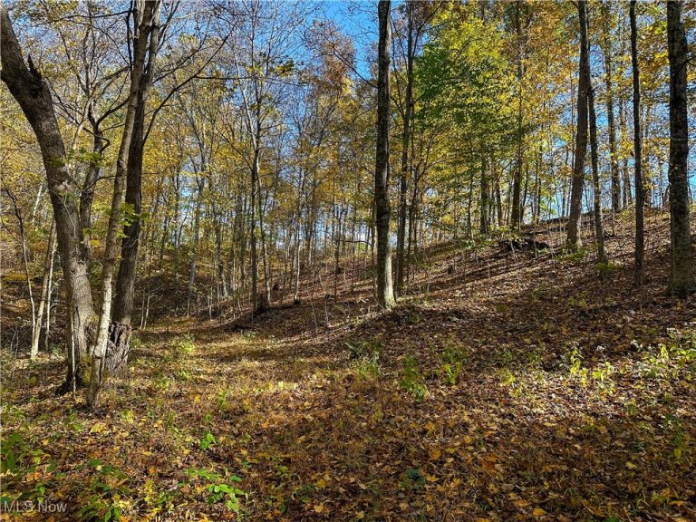 Clark Road, Cutler, OH - Photo 3