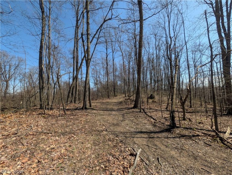 Township Road 289, Hammondsville, OH - Photo 5