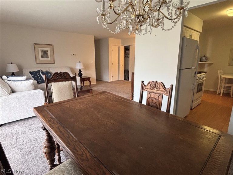 2112 Acacia Park Drive #312, Lyndhurst, OH - Photo 6