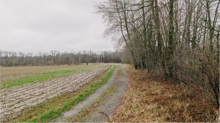 W Western Reserve Road, Canfield, OH - Photo 3