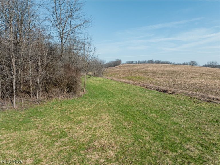Coal Road, Fresno, OH - Photo 4