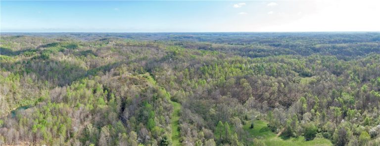 Harrons Ridge Road, Dexter City, OH - Photo 8