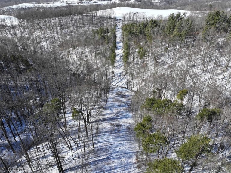 Tract 3 Bondi Ridge Road, Woodsfield, OH, 43793