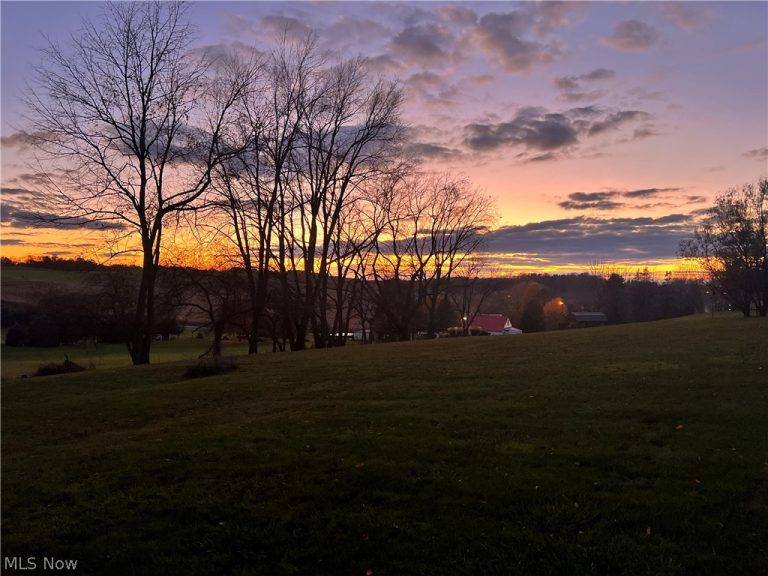 9226 Lisbon Street, East Canton, OH - Photo 5