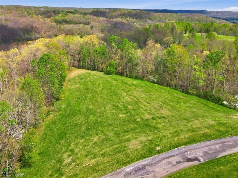 Union Hill Road, Blue Rock, OH - Photo 3