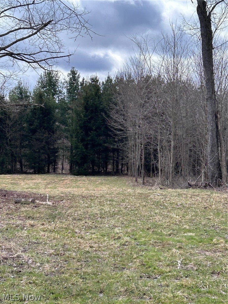 V/L White Road, Rock Creek, OH - Photo 2