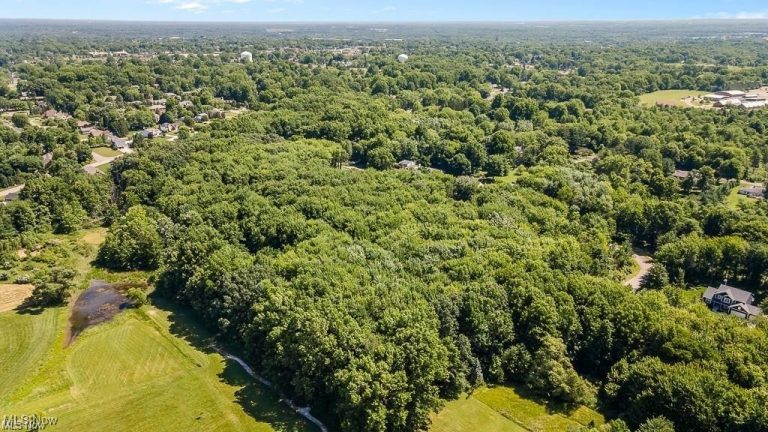 29 Colony Drive, Alliance, OH - Photo 5