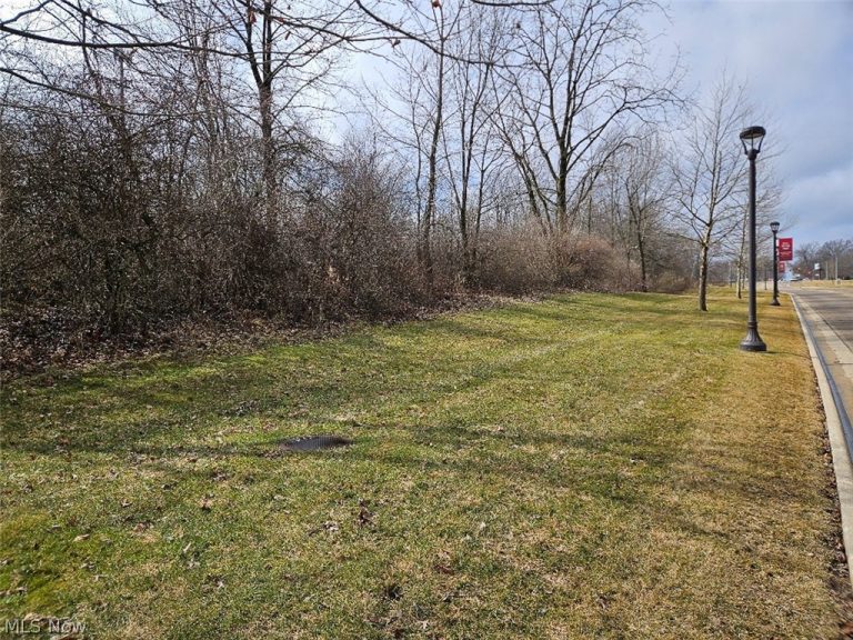 Ashley Circle, Austintown, OH - Photo 6